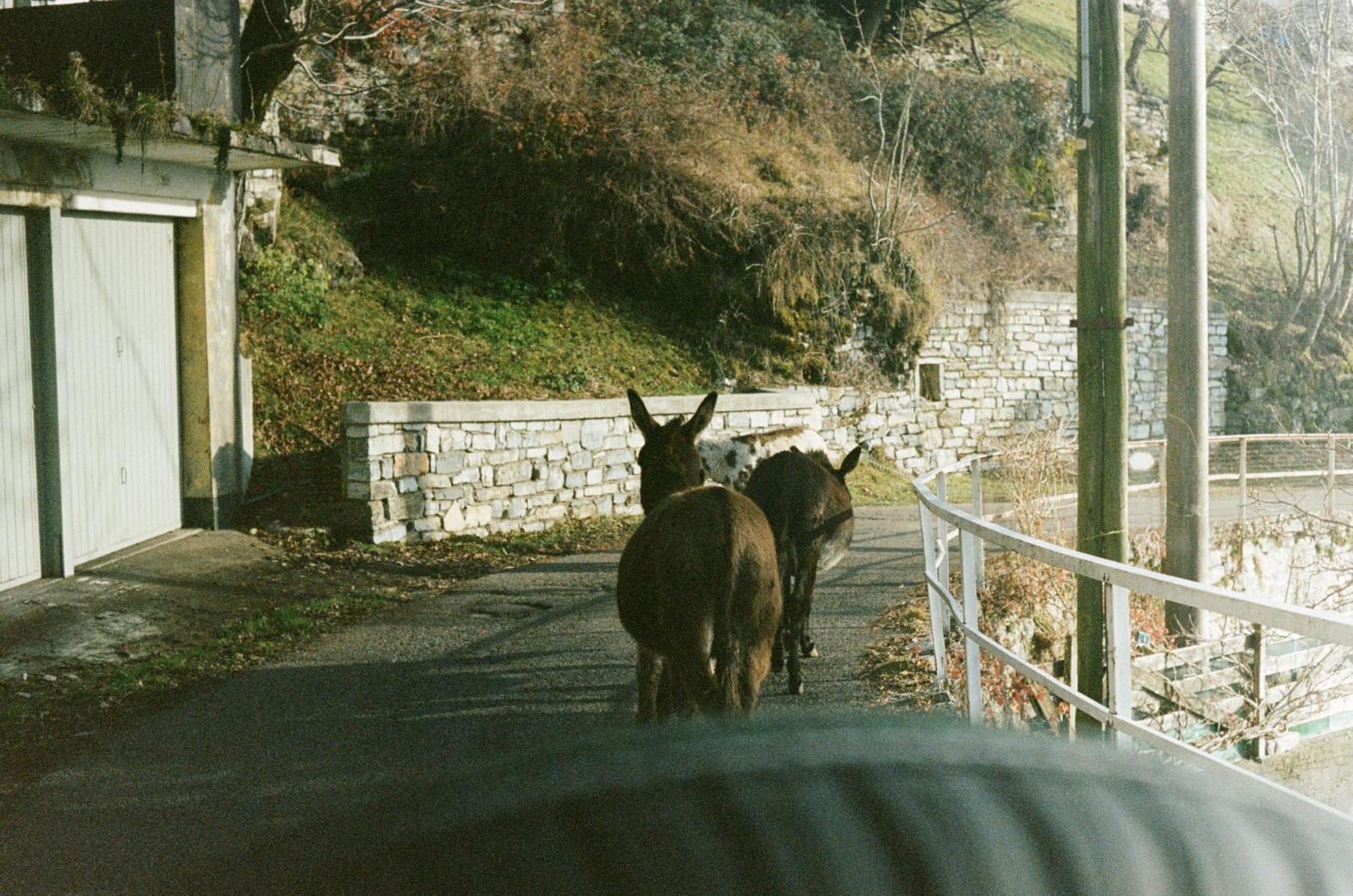 Ca' Bossi Villa Cernobbio Buitenkant foto